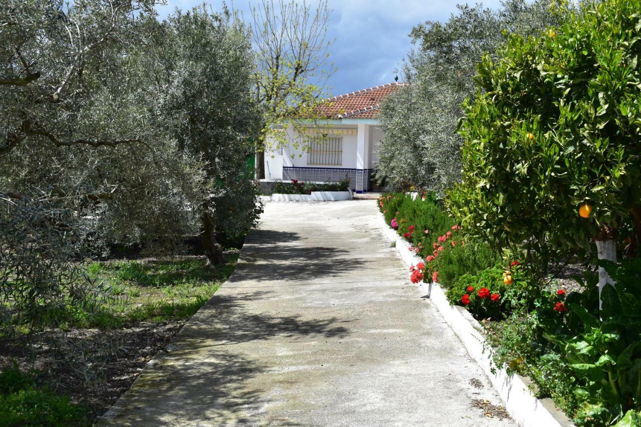 Casa Rural Alejo Málaga Esterno foto
